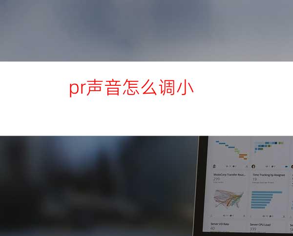 pr声音怎么调小