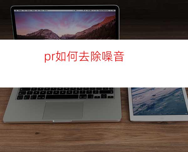 pr如何去除噪音