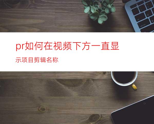 pr如何在视频下方一直显示项目剪辑名称