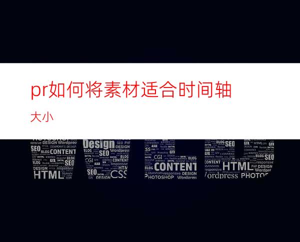 pr如何将素材适合时间轴大小