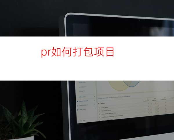 pr如何打包项目