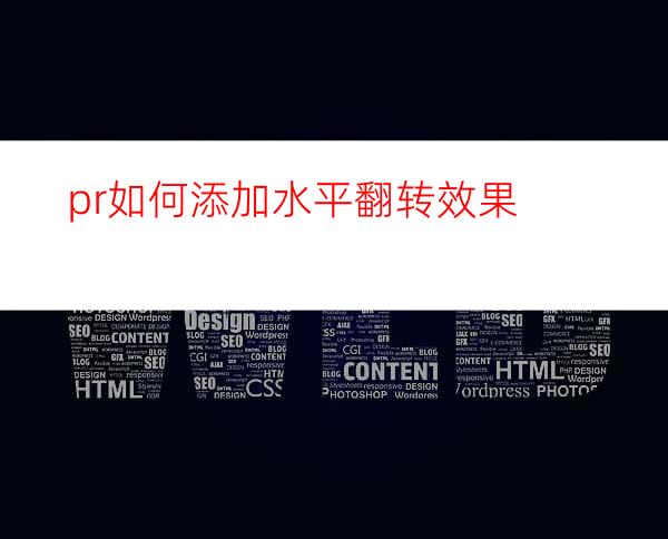 pr如何添加水平翻转效果