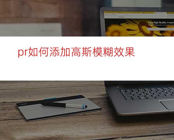 pr如何添加高斯模糊效果
