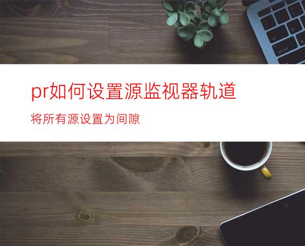 pr如何设置源监视器轨道将所有源设置为间隙