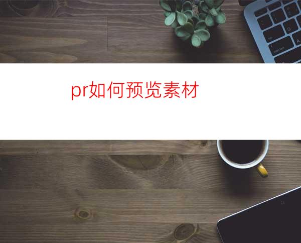 pr如何预览素材