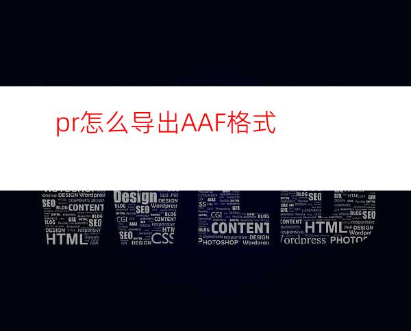 pr怎么导出AAF格式