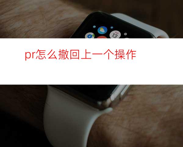 pr怎么撤回上一个操作