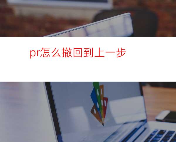 pr怎么撤回到上一步