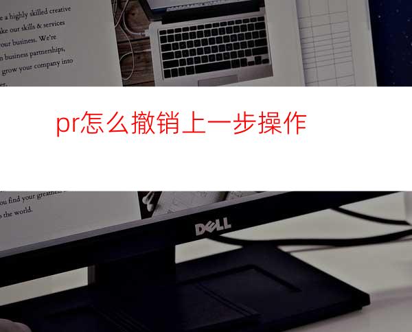 pr怎么撤销上一步操作