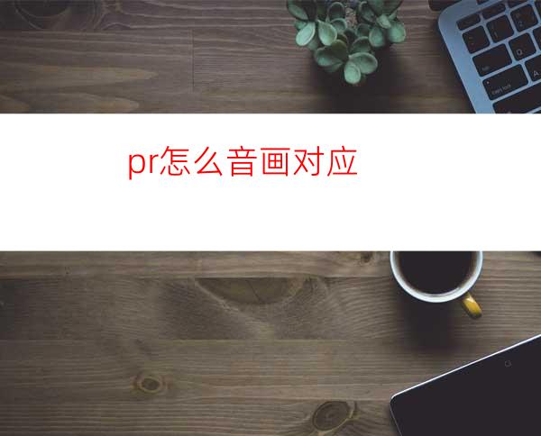 pr怎么音画对应