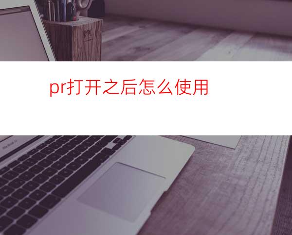 pr打开之后怎么使用