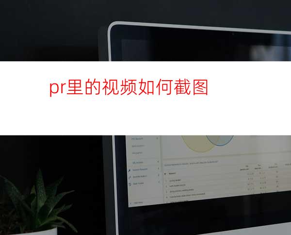 pr里的视频如何截图