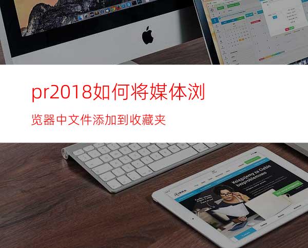 pr2018如何将媒体浏览器中文件添加到收藏夹