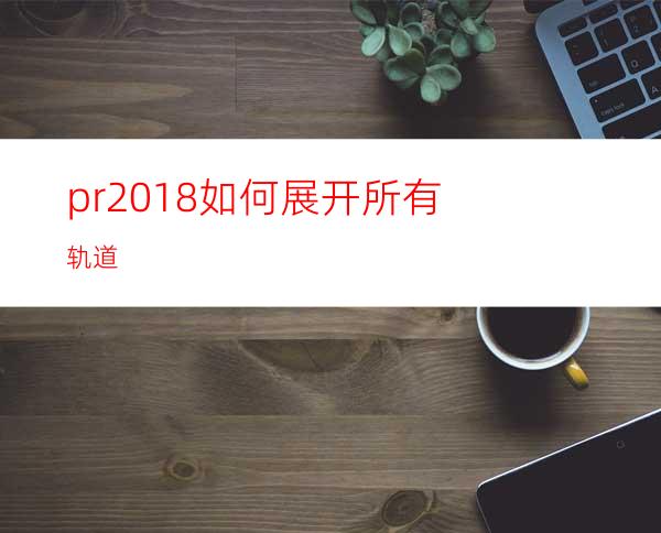 pr2018如何展开所有轨道