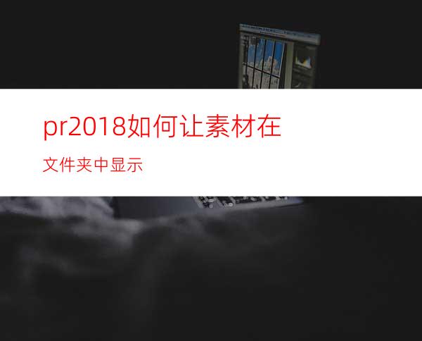 pr2018如何让素材在文件夹中显示