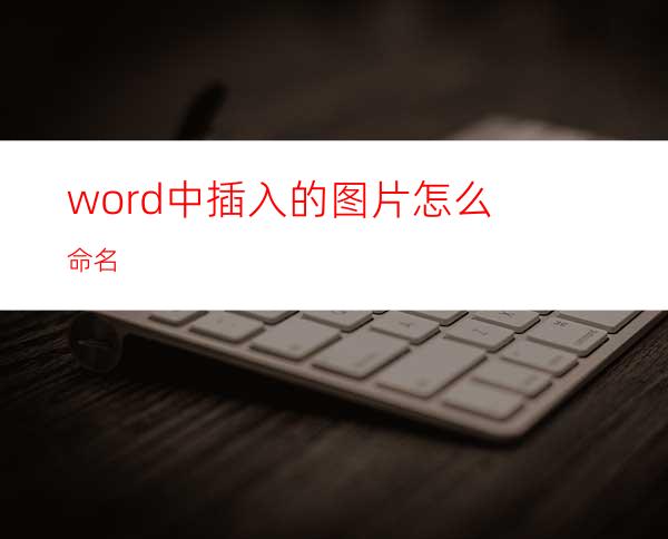word中插入的图片怎么命名?