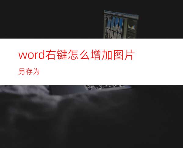 word右键怎么增加图片另存为