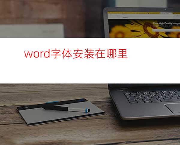word字体安装在哪里