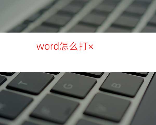 word怎么打×