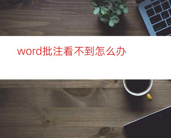 word批注看不到怎么办