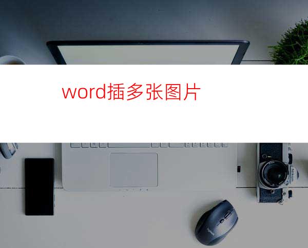 word插多张图片