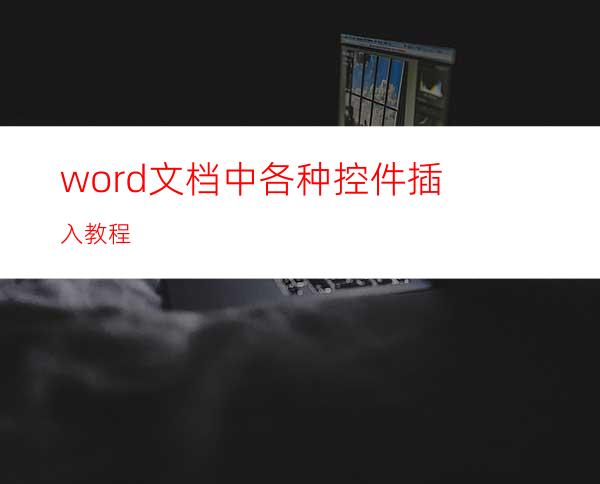 word文档中各种控件插入教程