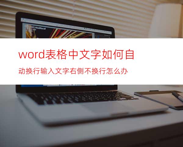 word表格中文字如何自动换行输入文字右侧不换行怎么办