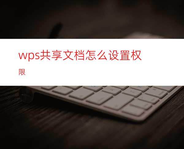 wps共享文档怎么设置权限