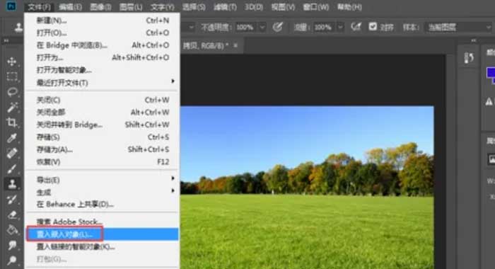 图片嵌入 图片嵌入